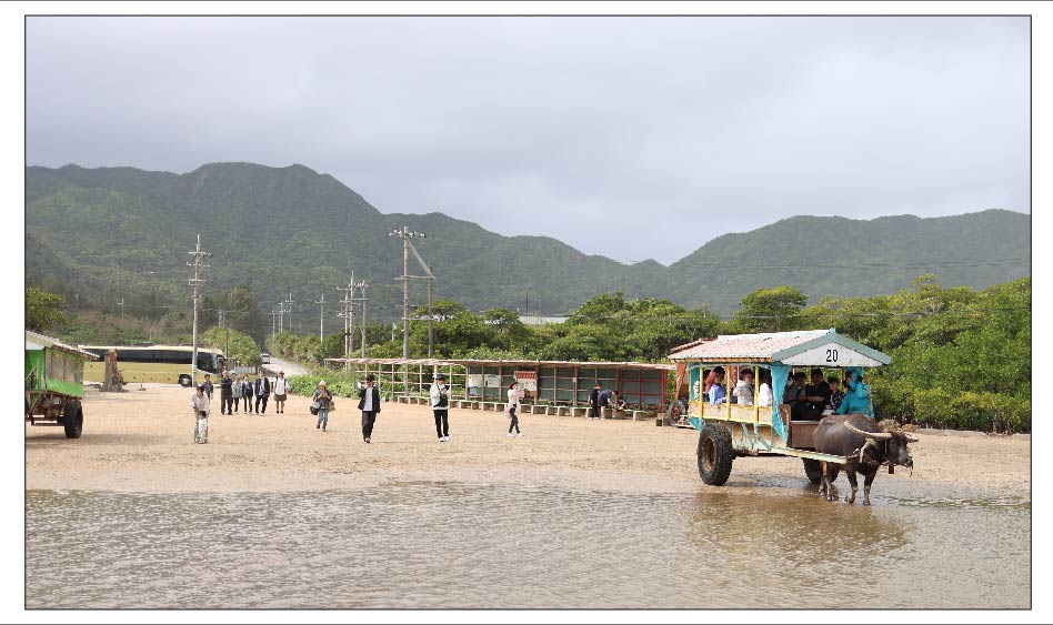 水牛車に乗車